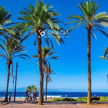 Petite Tenerife *